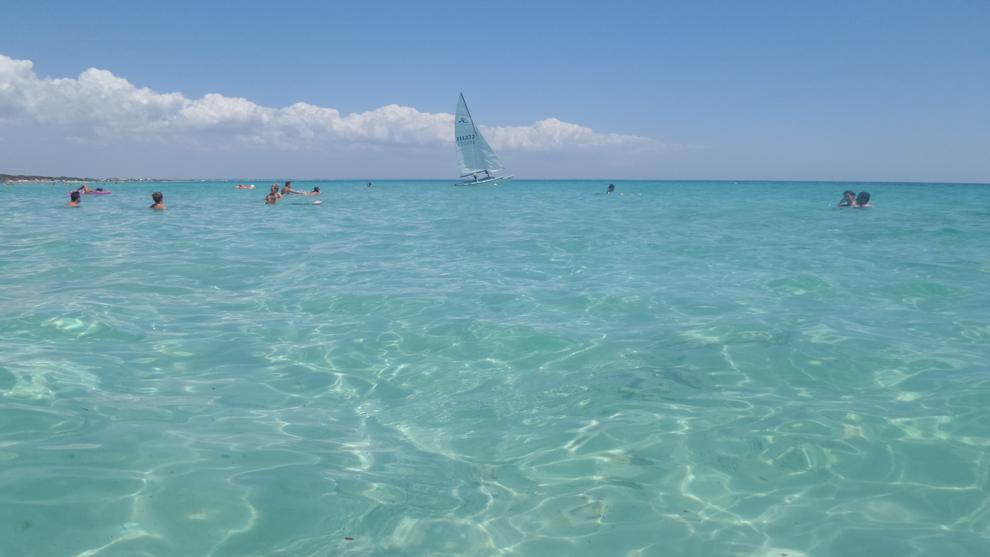 ESTATE @ myPORTOCESAREO