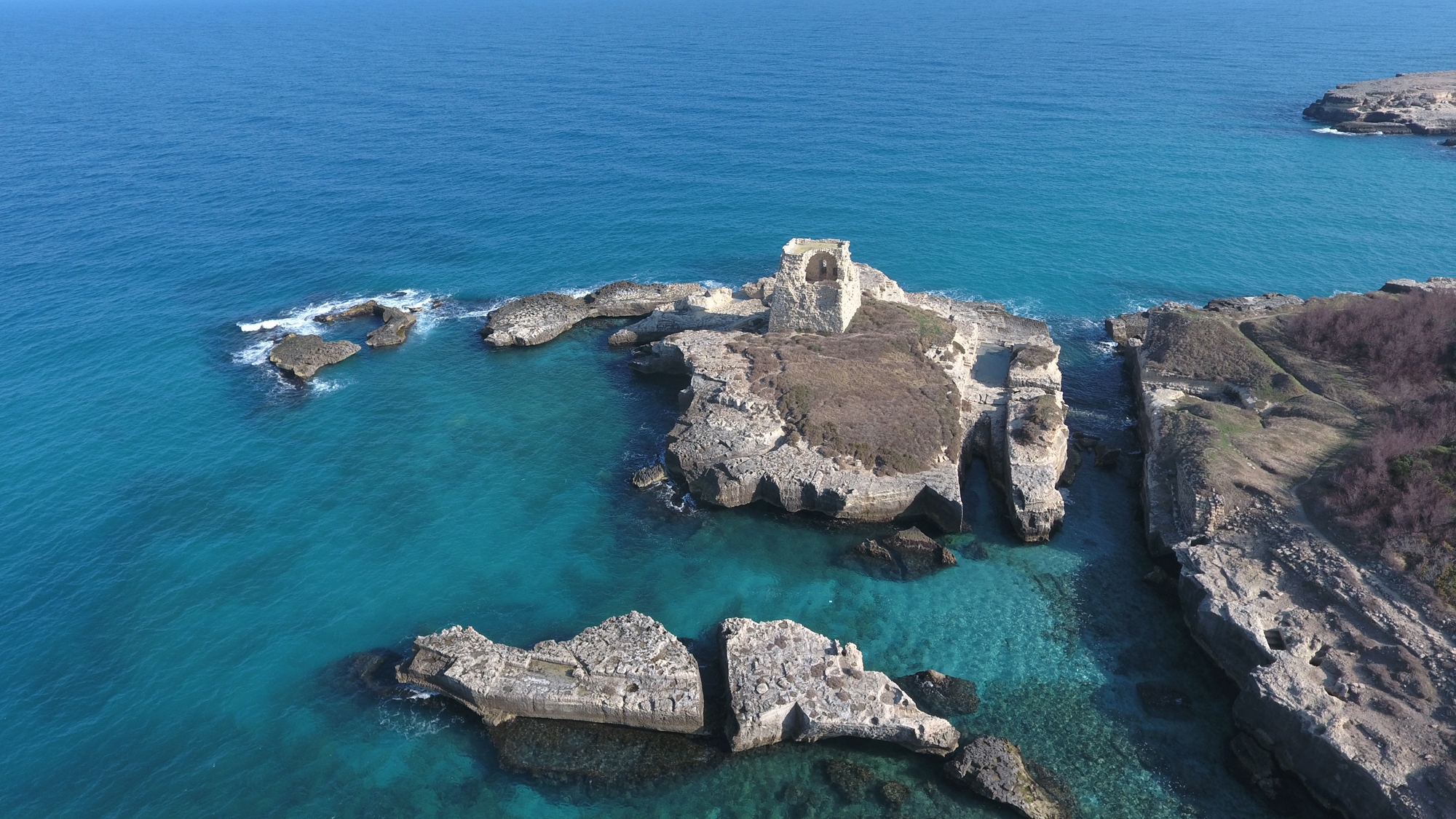ESTATE @ myPORTOCESAREO